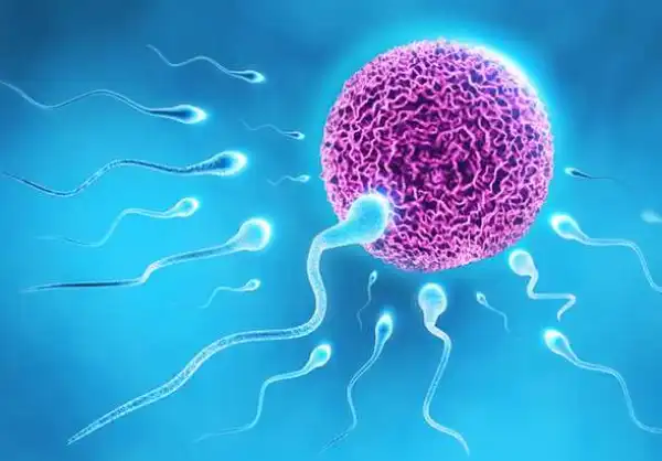 See 11 Factors That Can Destroy Male Fertility